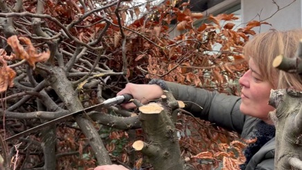 Hæk foryngelse m. Marlene (5).jpeg