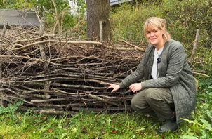 Biodiversitet-om-vinteren.jpg