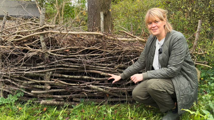 Biodiversitet-om-vinteren.jpg