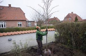 _L0A8470-kopi – stor.jpeg